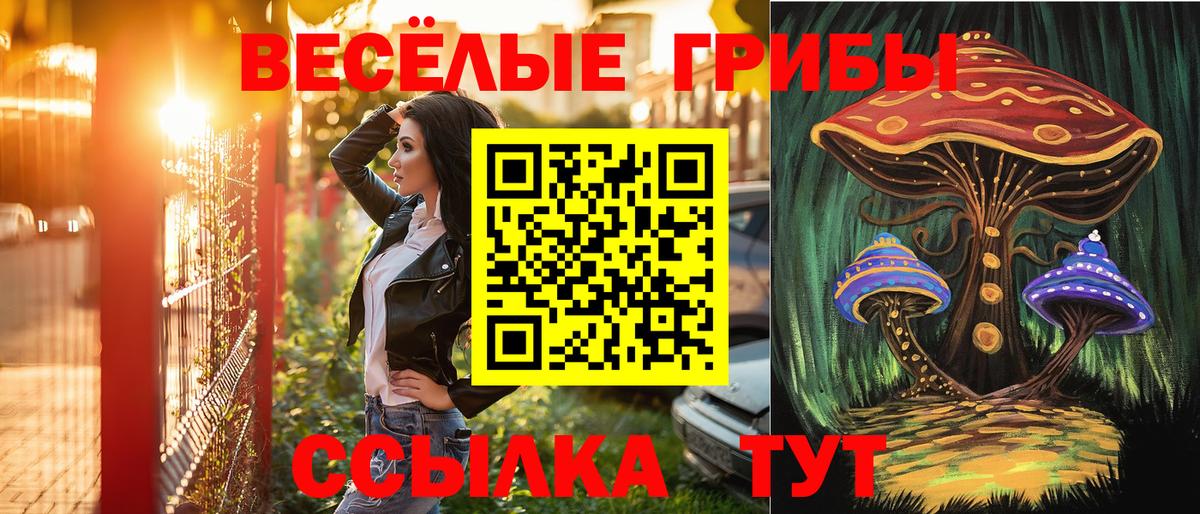 Галлюциногенные грибы Cubensis Сланцы