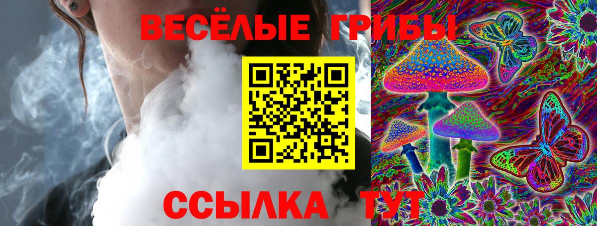 цены   Галлюциногенные грибы Magic Shrooms  Вход с VPN  Сланцы  Псилоцибиновые грибы Psilocybine cubensis 